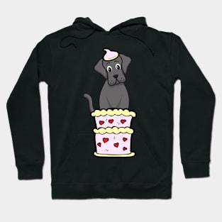 Big dog Jumping out of a cake Hoodie